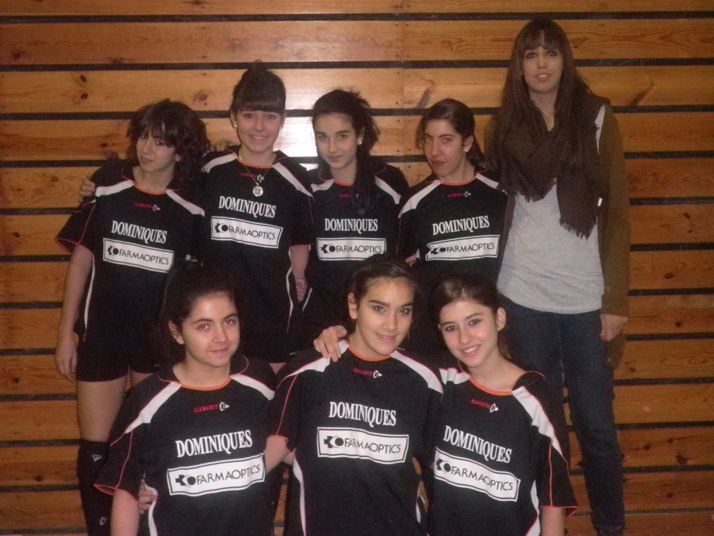 2011_volei